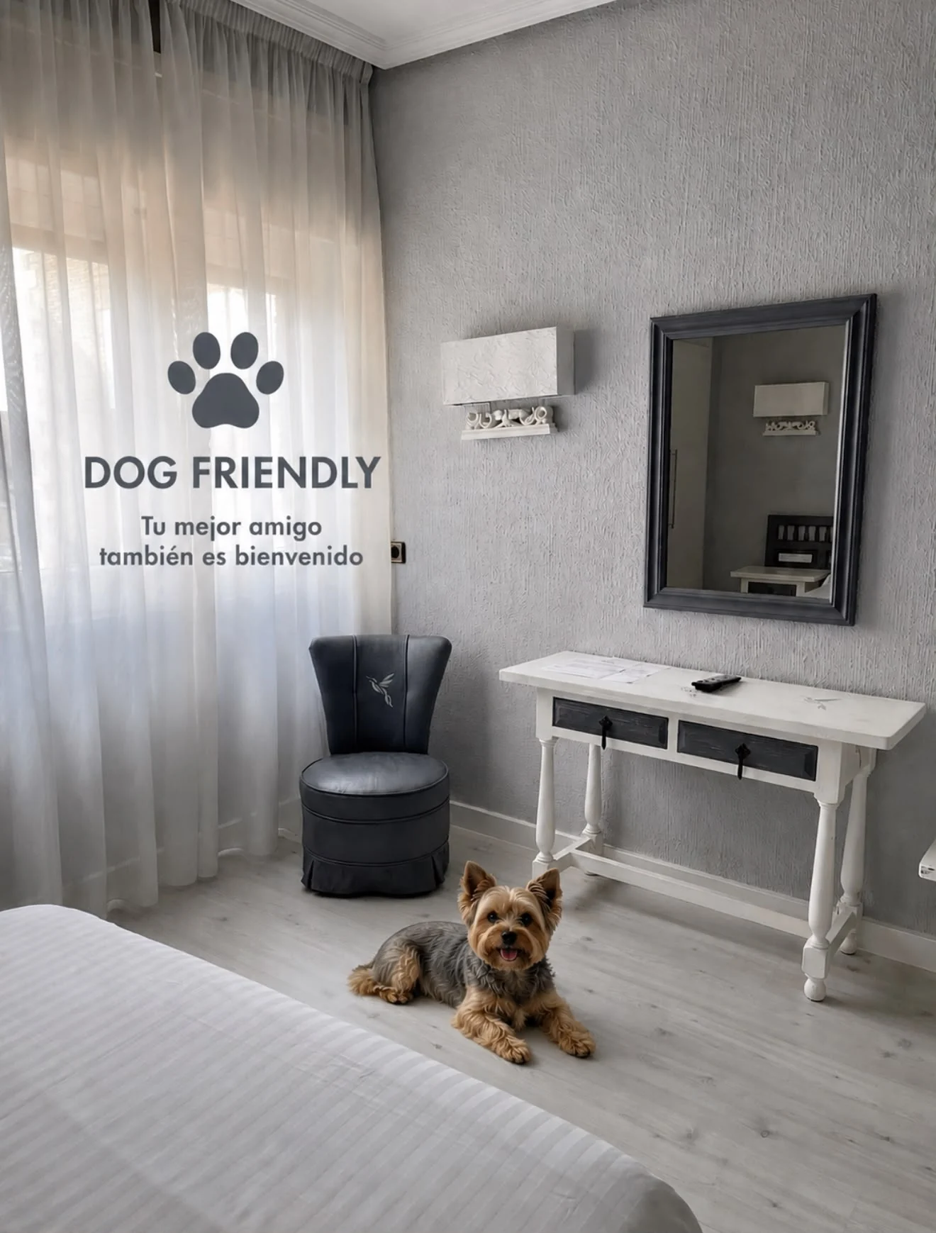 Habitación del Hotel Juan II preparada para alojarse con perro